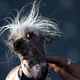 Photo: Getty